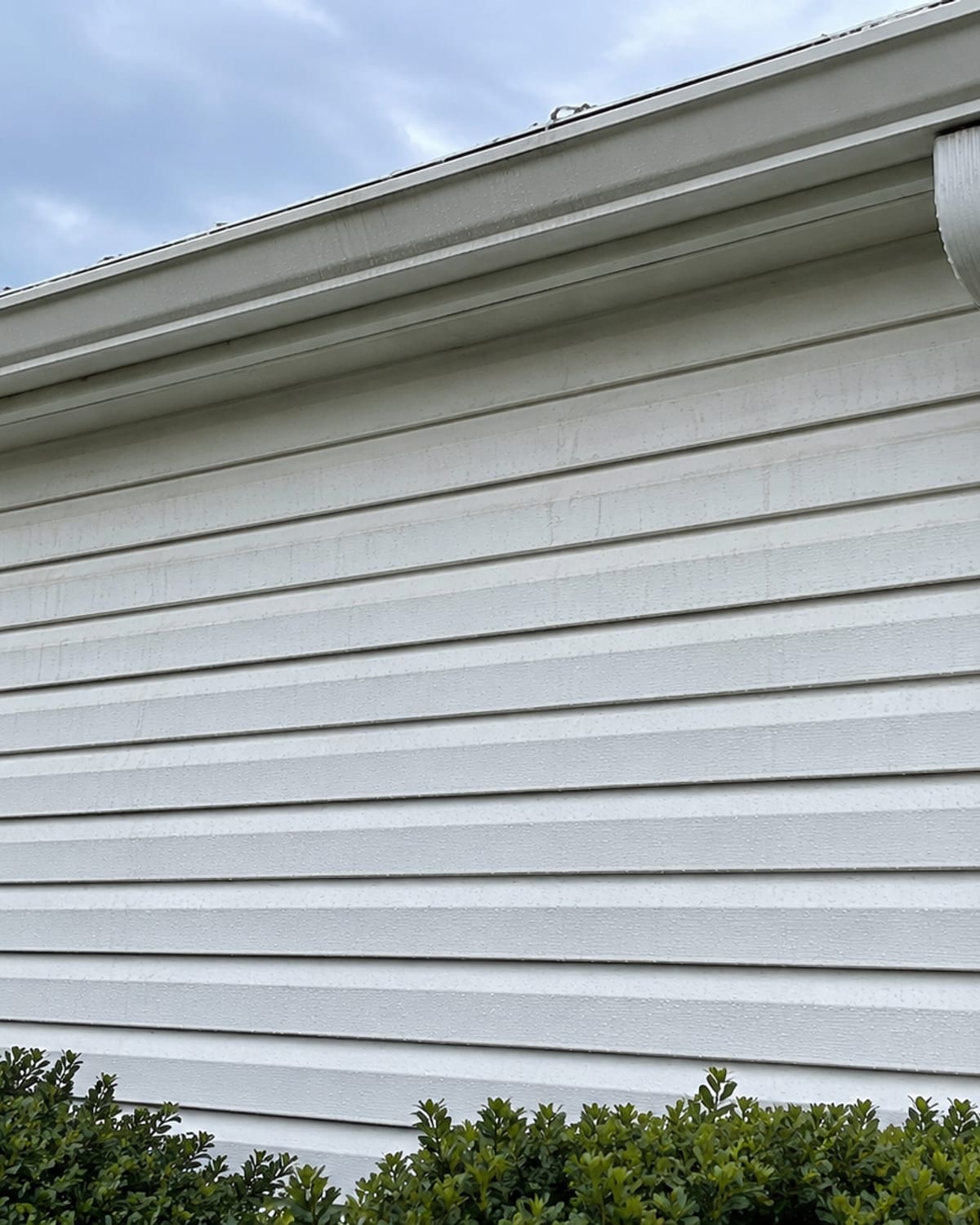 Close view of clean vinyl siding on a suburban Baltimore home showing streak-free panels and cleared gutters after soft washing