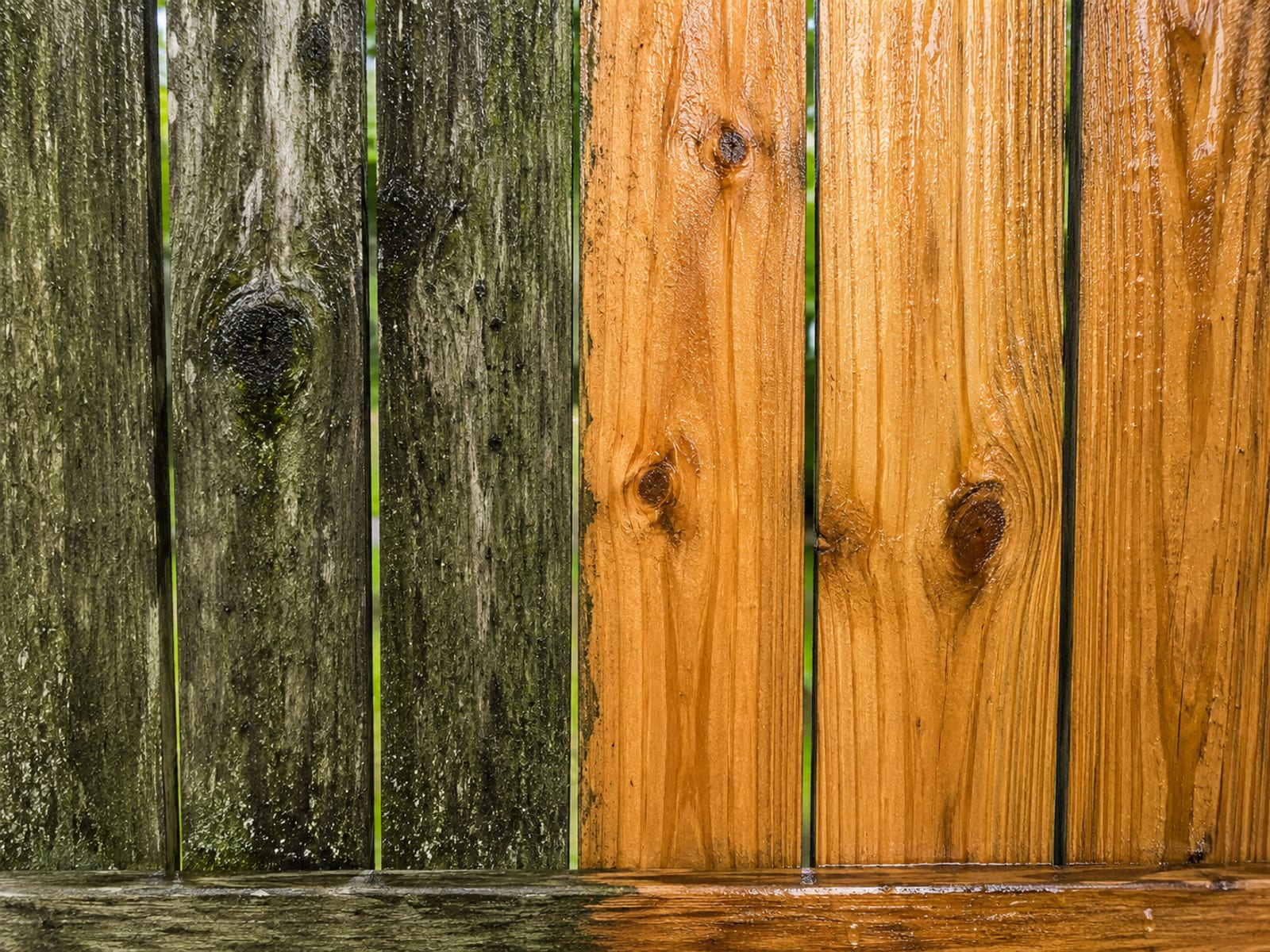 Split-view close-up of a wooden fence board showing stark contrast between a grimy algae-covered section and a freshly pressure-washed clean section beside it