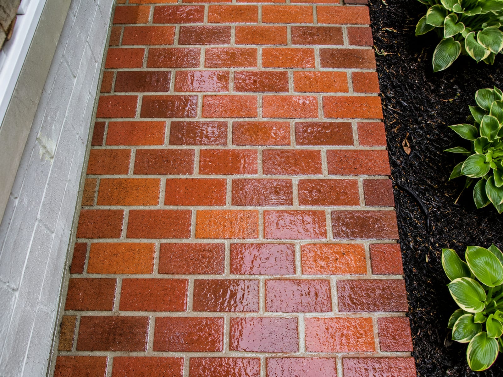 Straight down overhead view of a freshly pressure washed brick front walkway with clean mortar joints next to a slightly weathered foundation wall on a suburban Maryland home