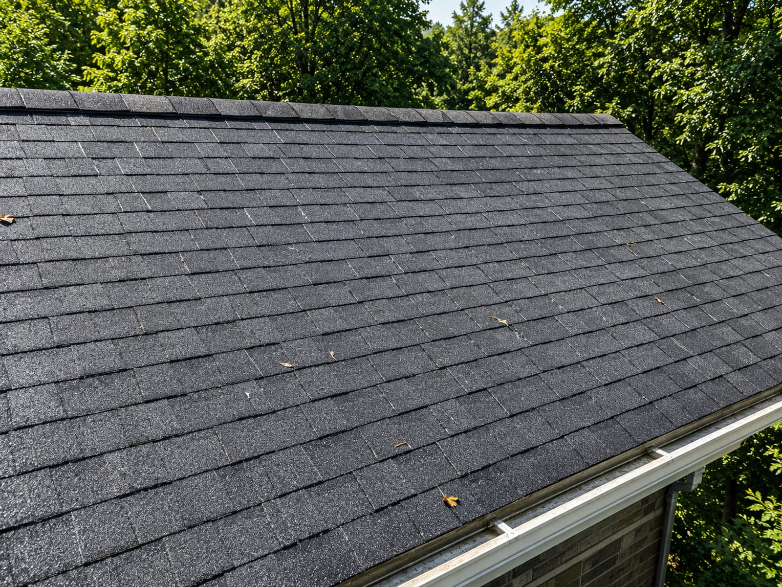 Aerial-perspective close view of a fully cleaned residential roof plane showing uniform clean charcoal gray asphalt shingles with faint drying moisture and no moss or algae, ridge cap intact, mature trees visible beyond